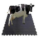 Cow Mat Rubber