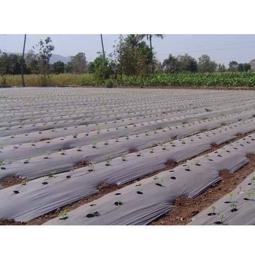 Mulching film