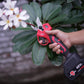 Electric Pruning Shears
