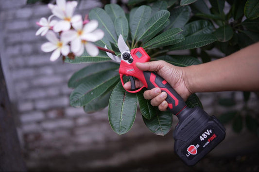 Electric Pruning Shears
