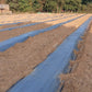 Mulch Film -SB Star