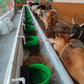 Cow Automatic Water Bowl(10 Ltr)