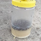 House Fly Trap with lure