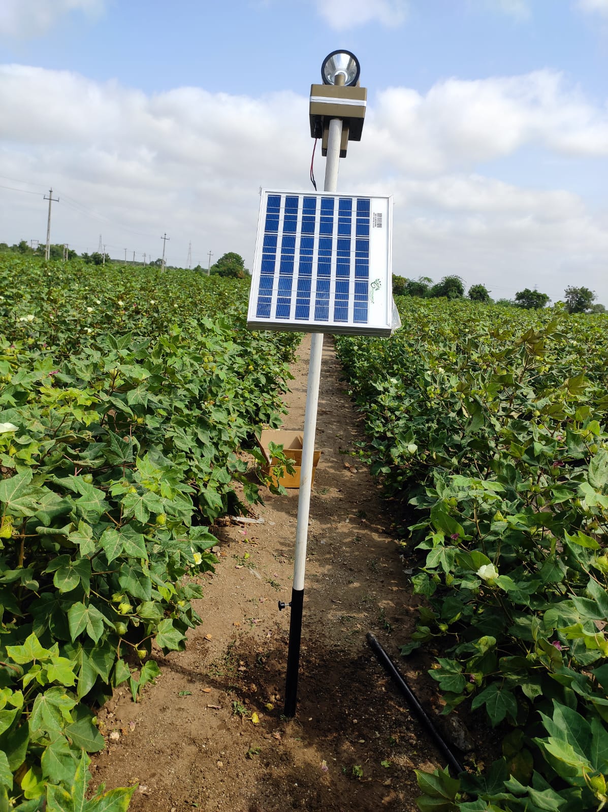 Solar Smart Radar Light 360° with Siren & Insect Trap – With Stand - image 4