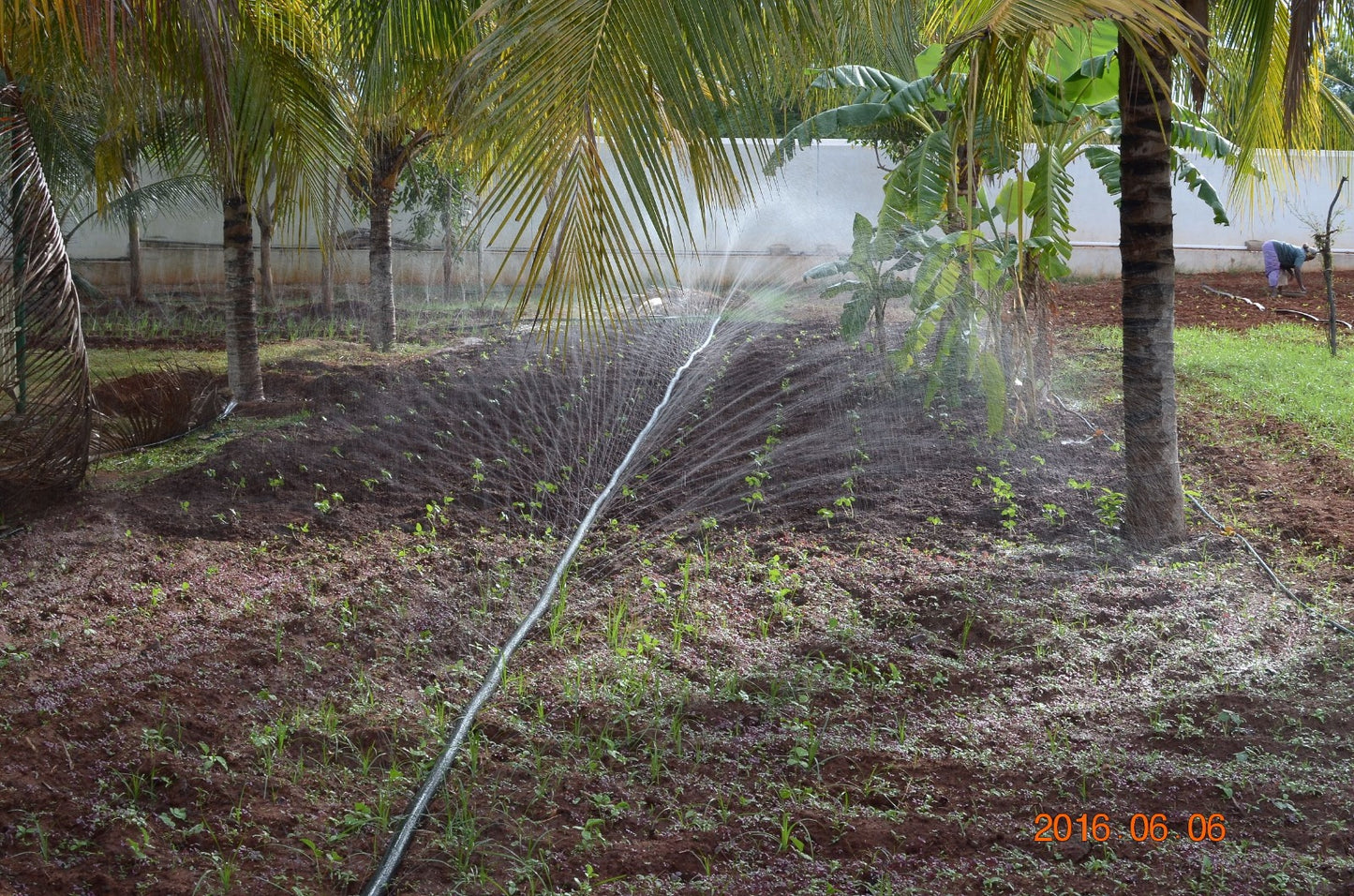 Rain pipe (Micro Rain Spray Hose) 32mm