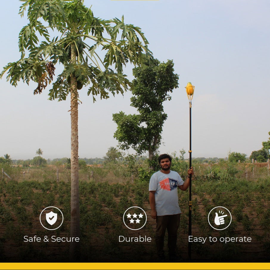 Papaya Picker