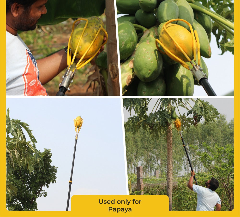 Papaya Picker