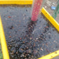 Smart Insect Trap