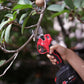 Electric Pruning Shears