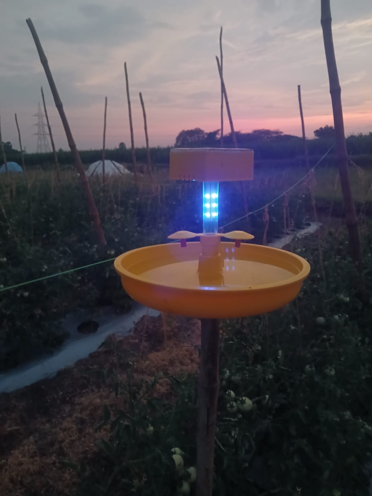 MINI SOLAR LIGHT TRAP