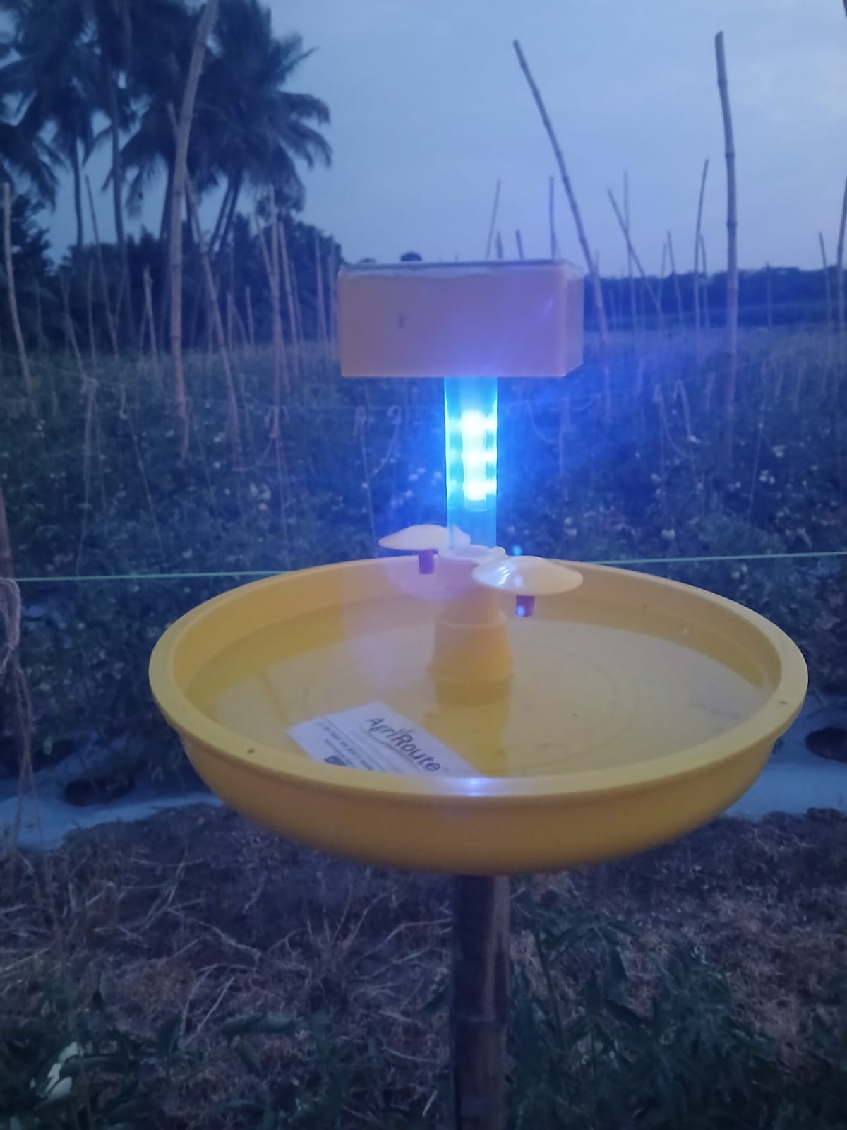 MINI SOLAR LIGHT TRAP