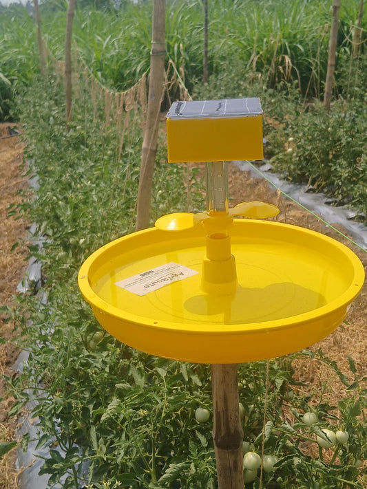 MINI SOLAR LIGHT TRAP