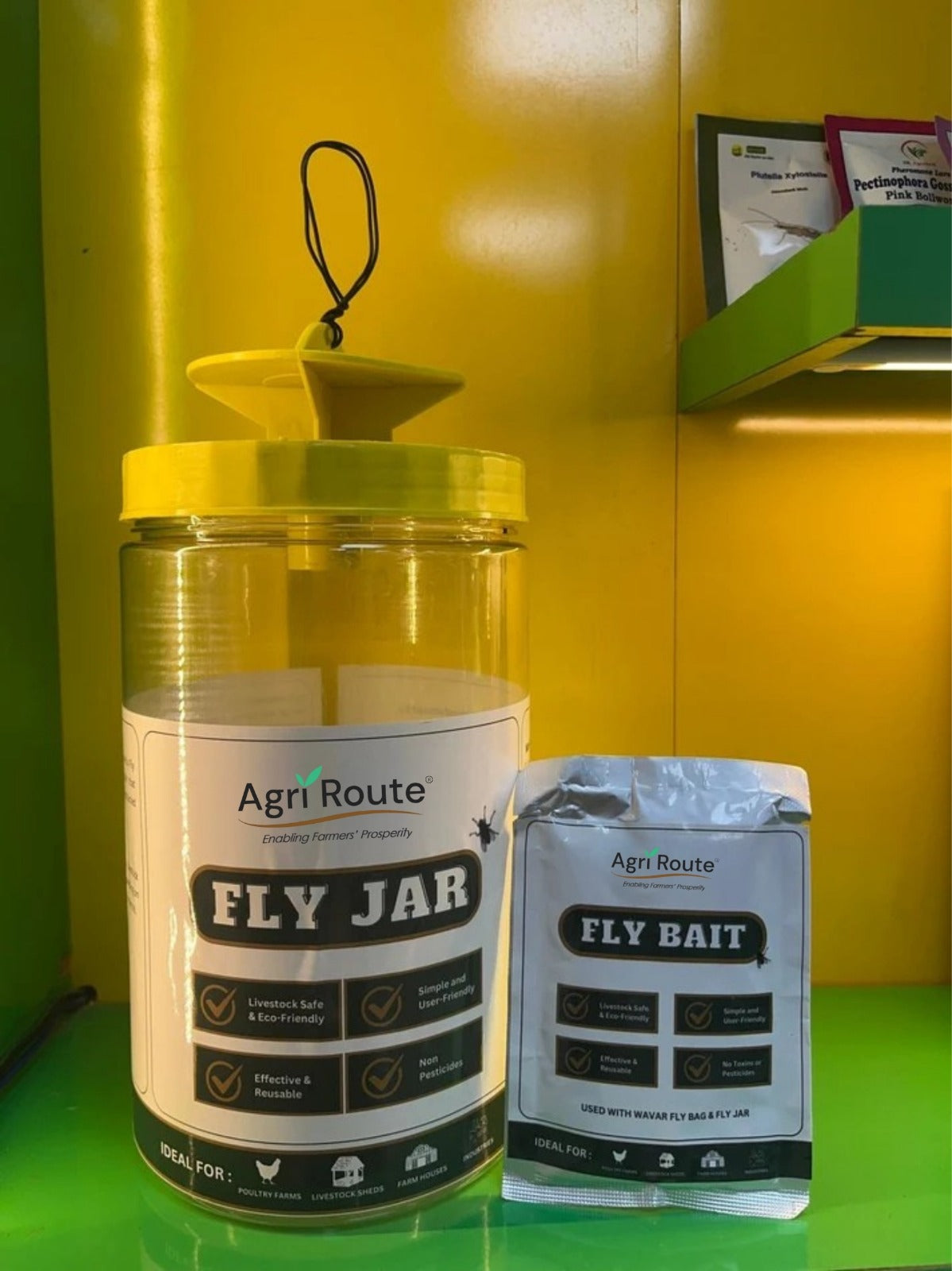 House Fly Trap with lure