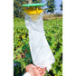 Funnel Trap ( Pack of 10 )