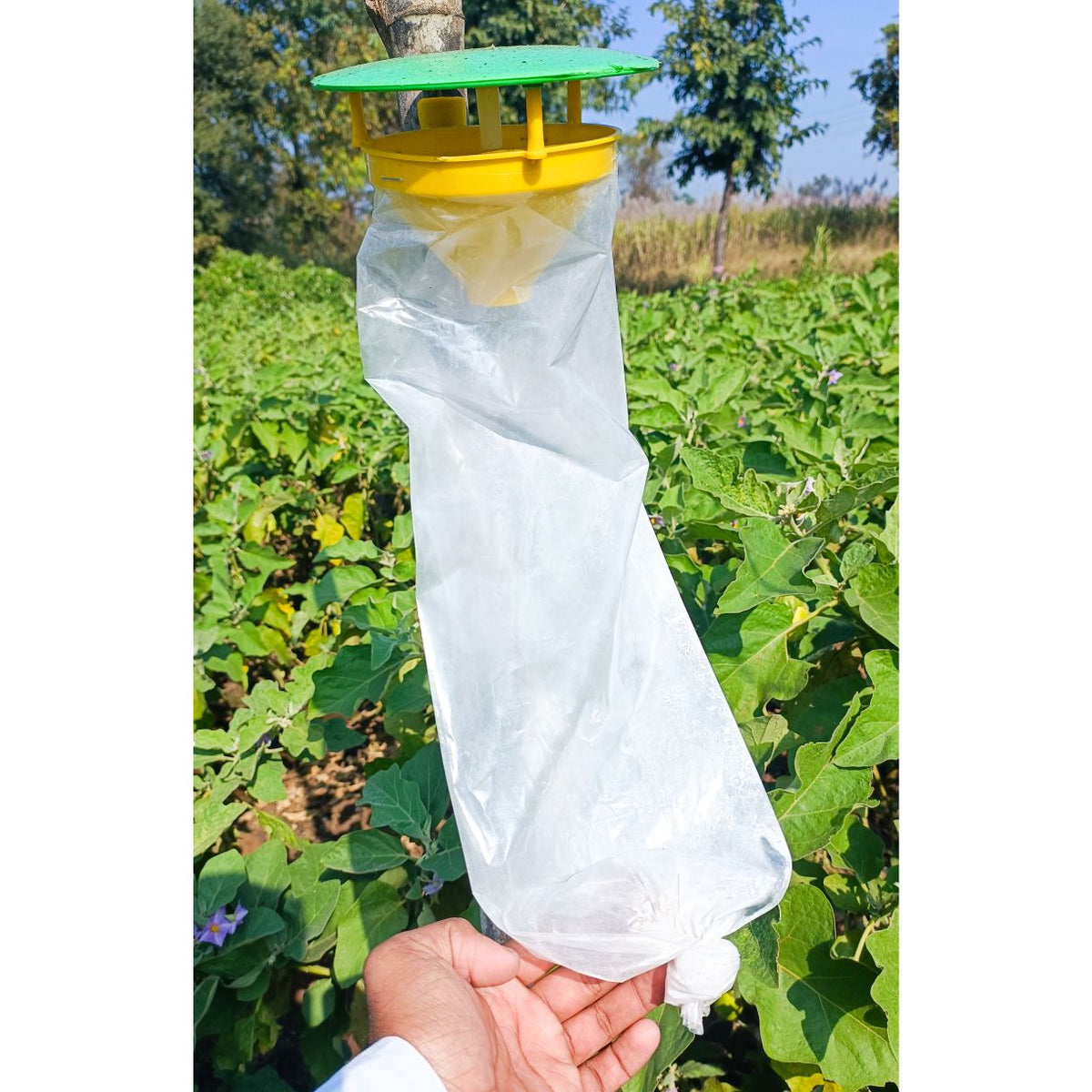 Funnel Trap (Pack of 10) — Moth & Bollworm Monitoring Trap - image 2
