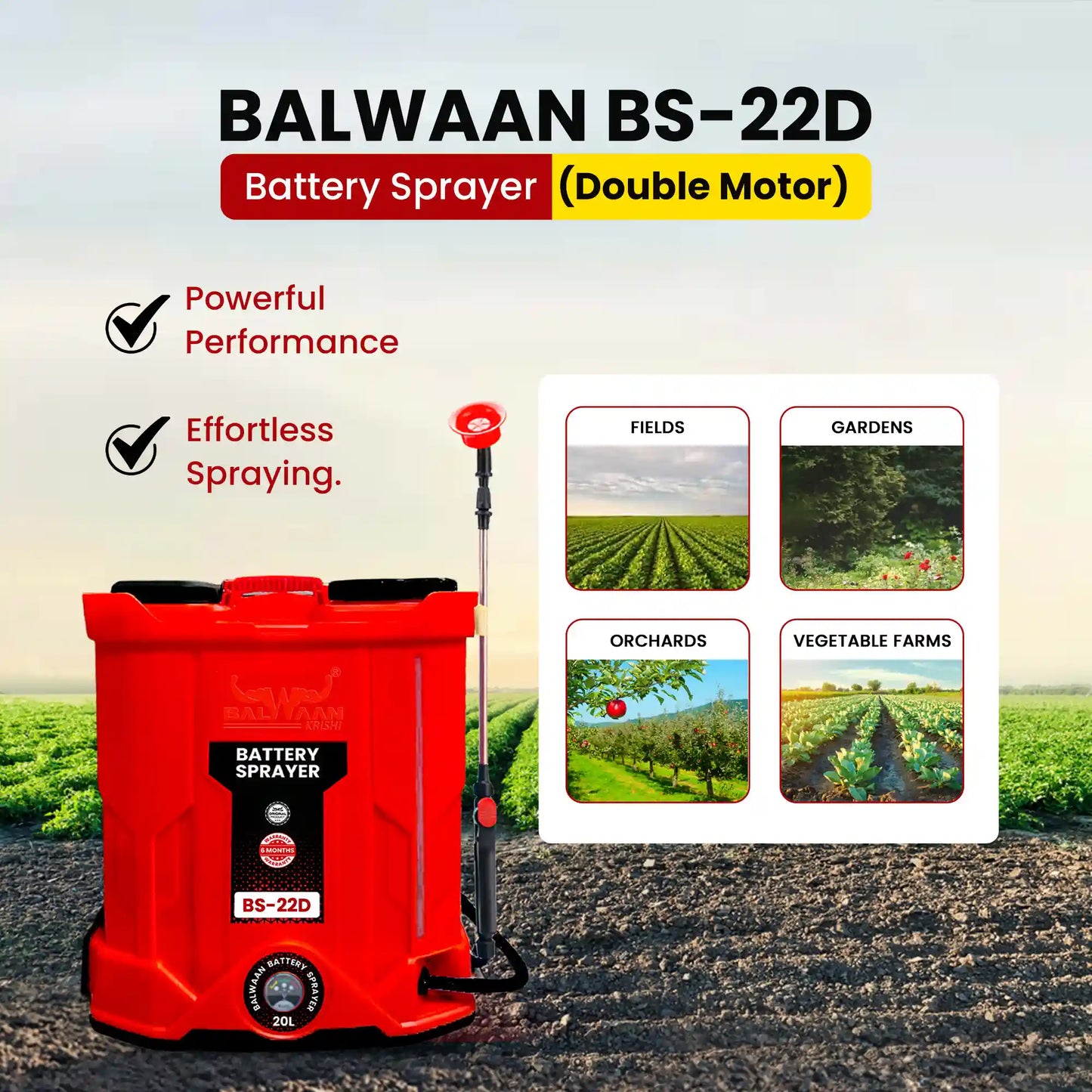Balwaan Double Motor Battery Sprayer BS-22D
