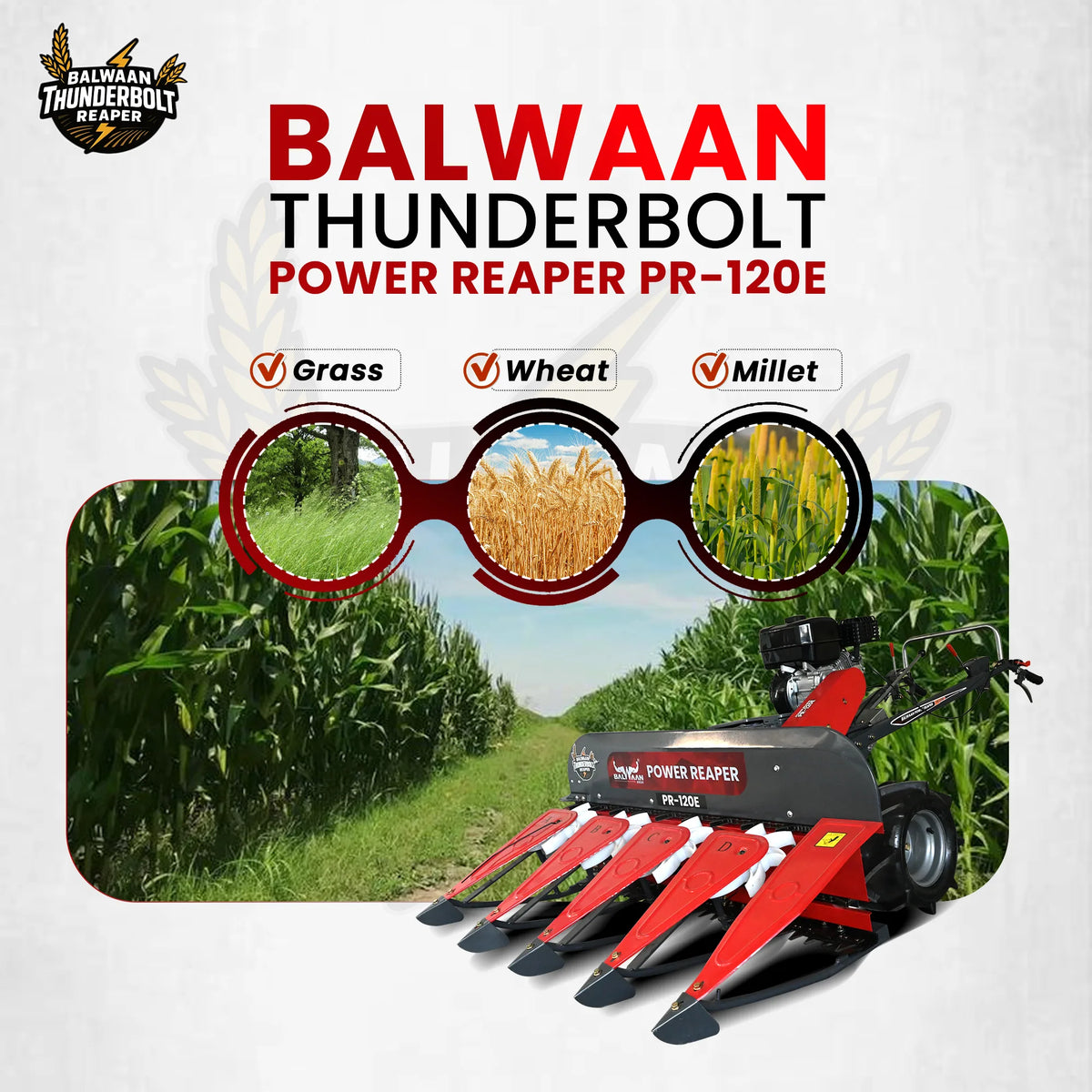 Balwaan Petrol Reaper 4 Row PR-120E