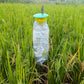 Funnel Trap (Pack of 10) — Moth & Bollworm Monitoring Trap - image 4