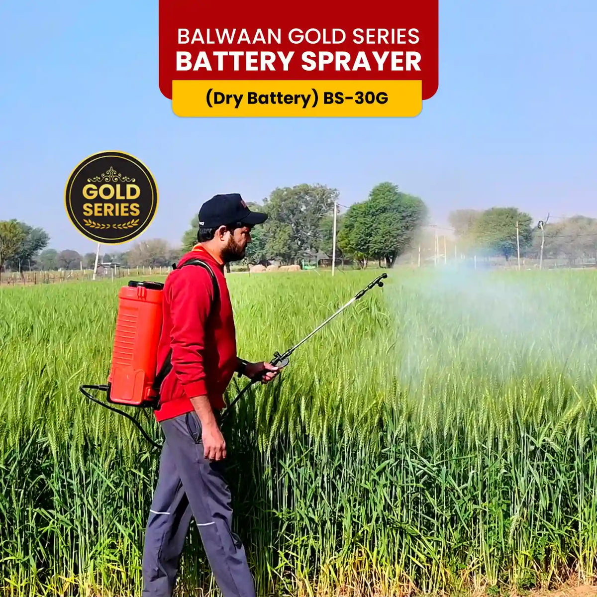 Balwaan (Gold Series) Battery Sprayer BS-30G - image 4
