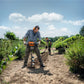 STIHL BT 230 Petrol Earth Auger - image 2