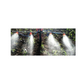 Cycle weeder+ Sprayer + Pump(16 lit) - image 2