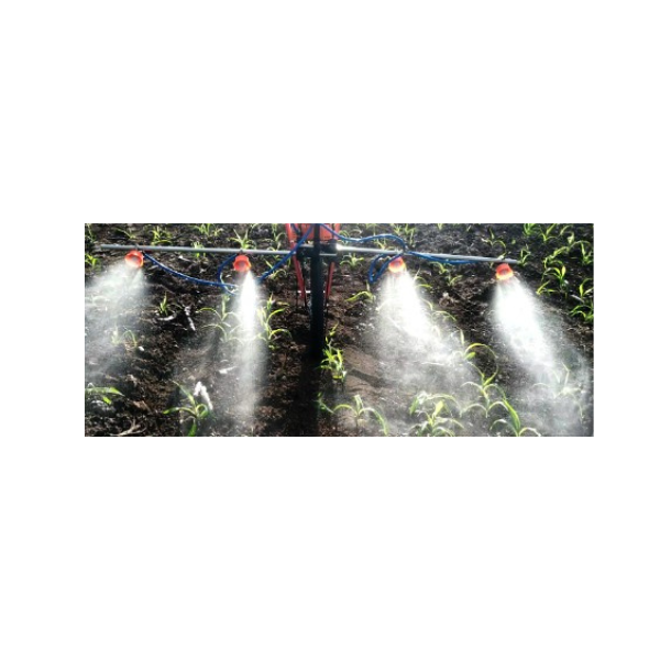 Cycle weeder+ Sprayer + Pump(16 lit) - image 2