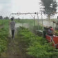 Heavy duty Spray Pump(Bahubali)