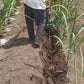 Single Wheel Cultivator