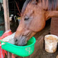 Cow Automatic Water Bowl(10 Ltr)