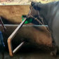 गाय स्वचालित पानी का कटोरा