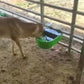 Cow Automatic Water Bowl(10 Ltr)