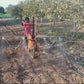 Cycle weeder+ Sprayer + Pump(16 lit)