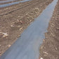 Mulch Film -SB Star