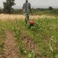 E Mini Weeder (Battery Operated)