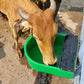 Cow Automatic Water Bowl(10 Ltr)
