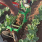 Single Wheel Cultivator