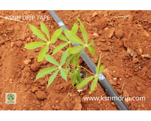 KSNM Drip IRRIGATION Kit - 1/4 acre - image 3