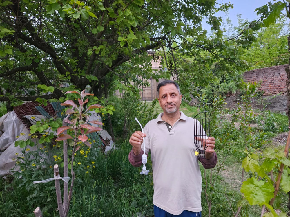 Mohammad Ayub