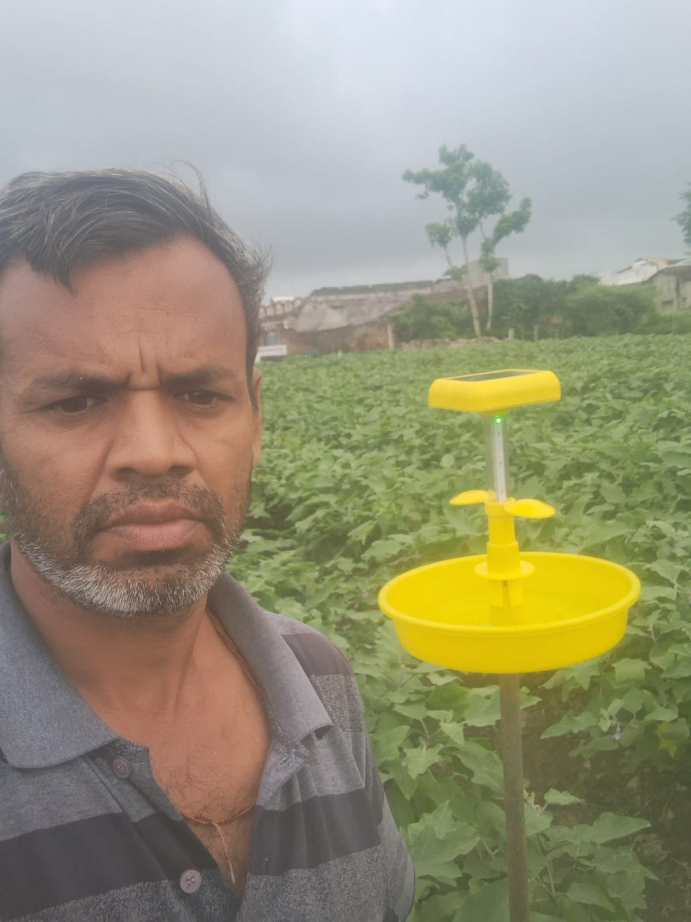 Mahesh Gandubhai Kotadiya