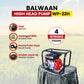 Balwaan High Head Pump 2x2 inch WP-22H - image 6