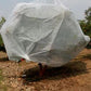 Crop Protection Cover
