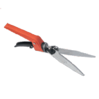 Prunning Shears